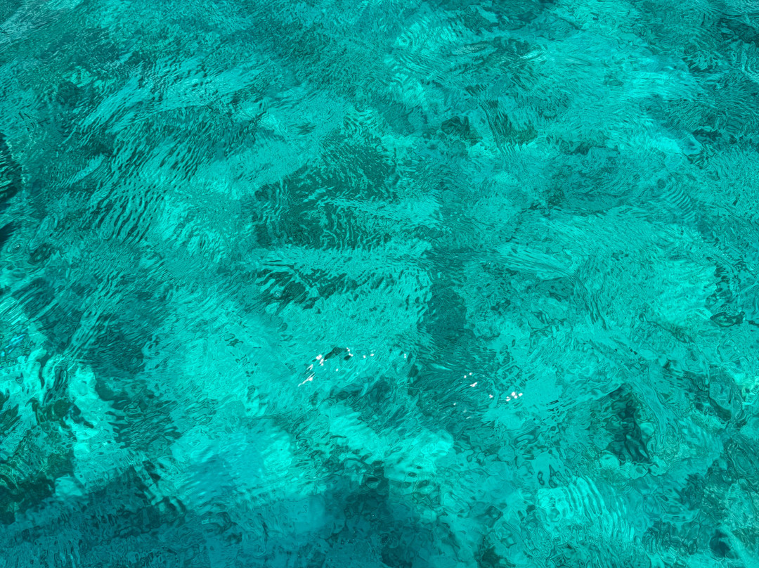 Zanzibar tours by Juma-Matemwe必去景点