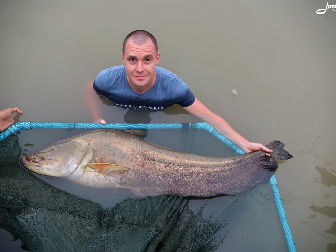 Jurassic  Fishing Park-七岩必去景点