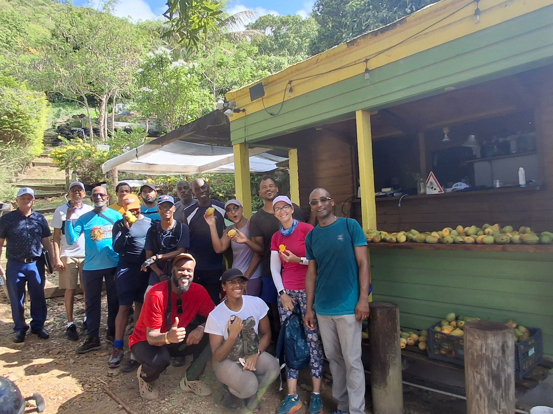 The Hillside: Eco Retreat-菲利普斯堡必去景点