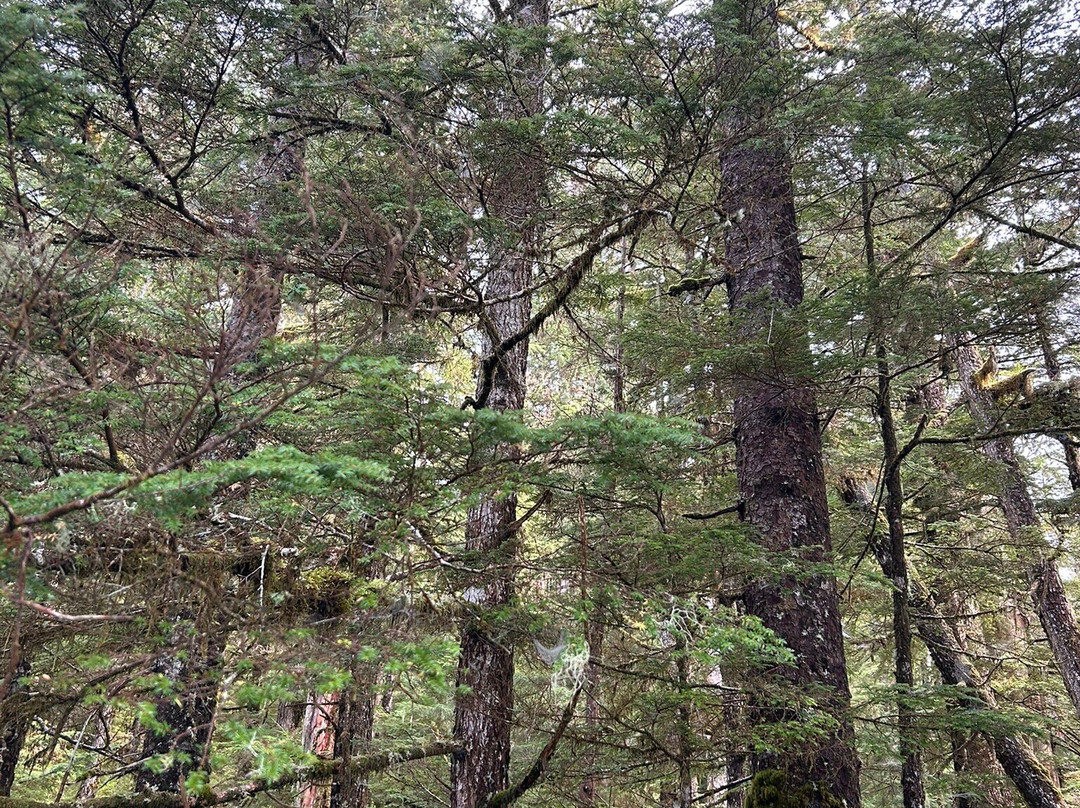 Alaska Travel Adventures-凯奇坎必去景点