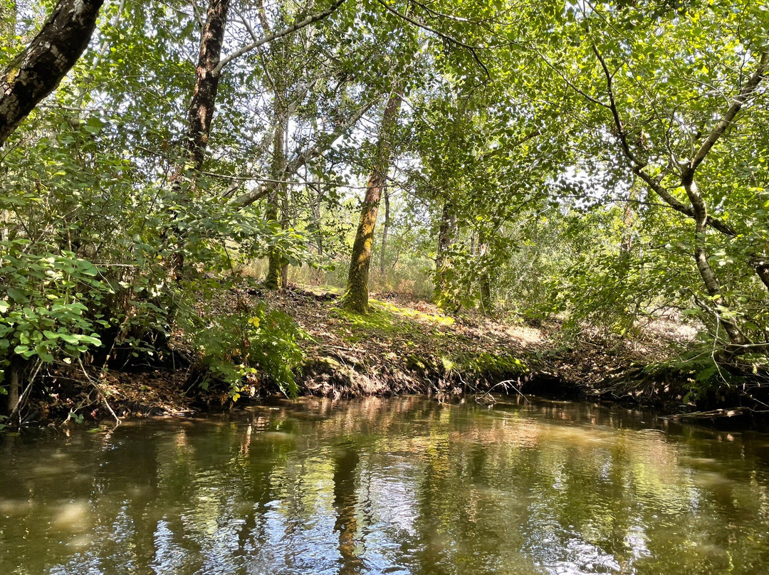 Les Bâteliers Du Courant D'huchet-Leon必去景点