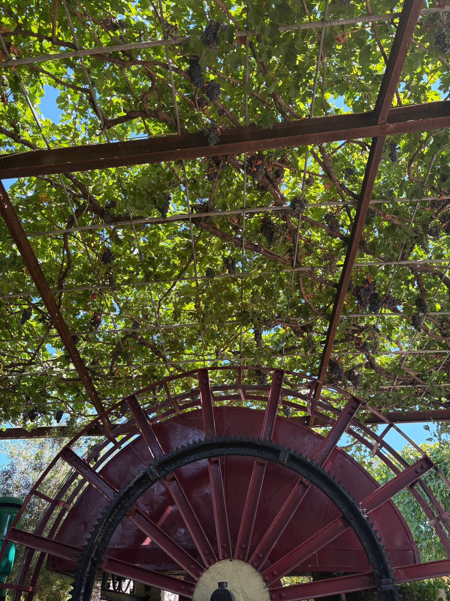 乌拉曼迪斯酒店-官方