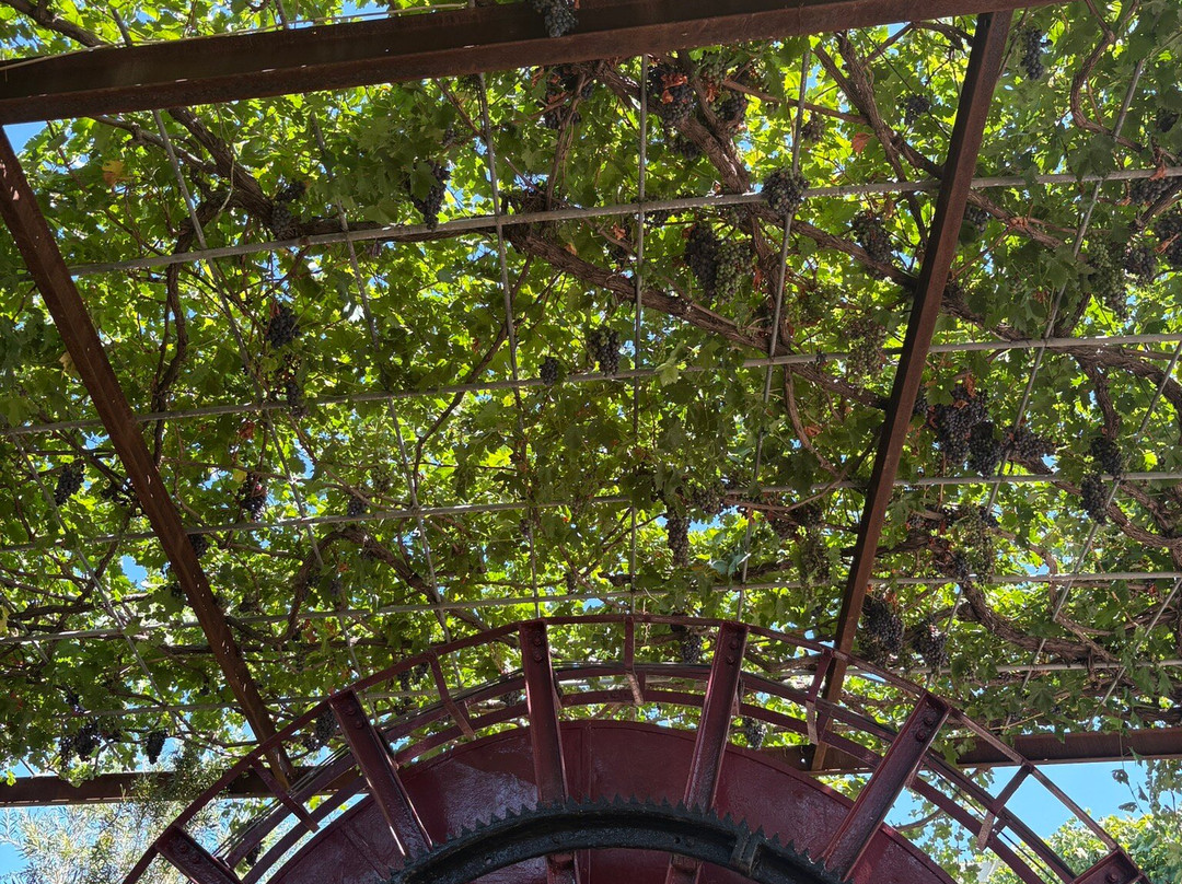 乌拉曼迪斯酒店主图