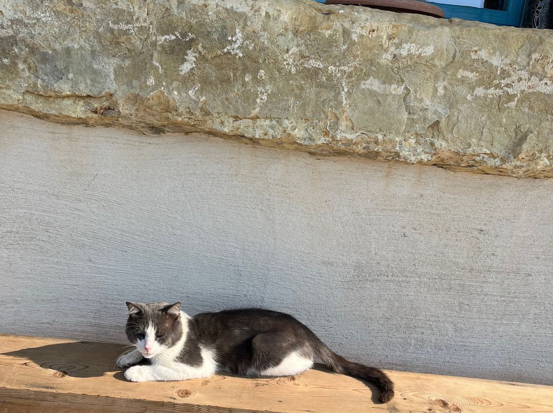 Is Perdas Rural Retreat & Spa主图