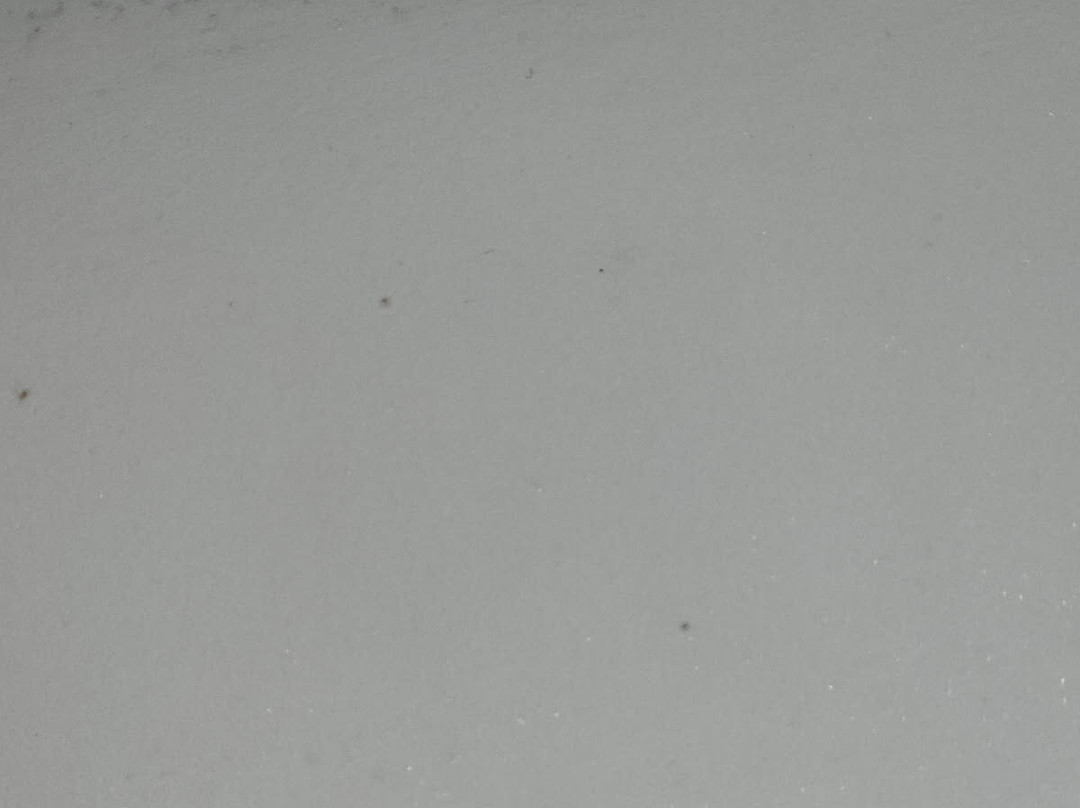 Harbor Town Inn, BW Signature Collection主图