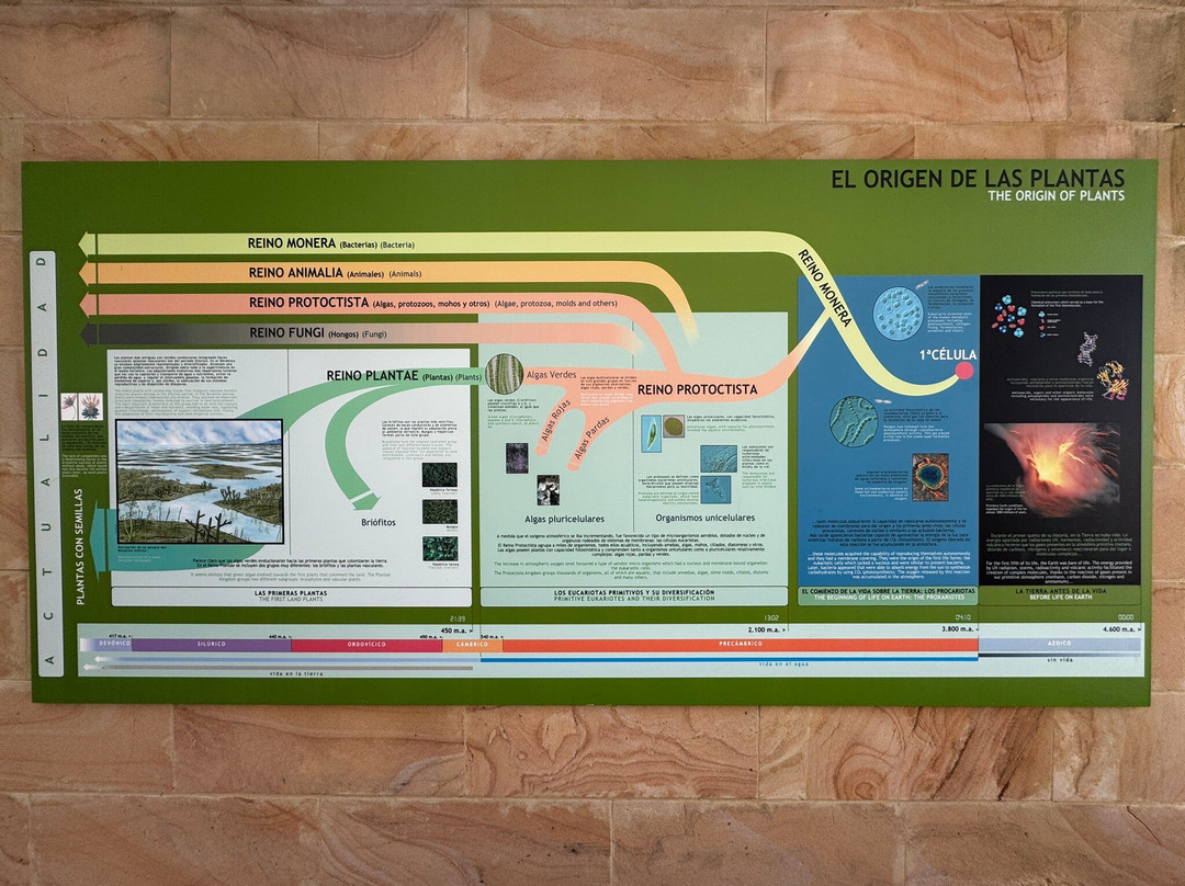 Jardin Botanico Atlantico-希洪必去景点
