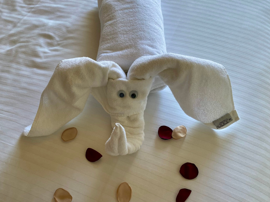 Alcudia Port Suites主图