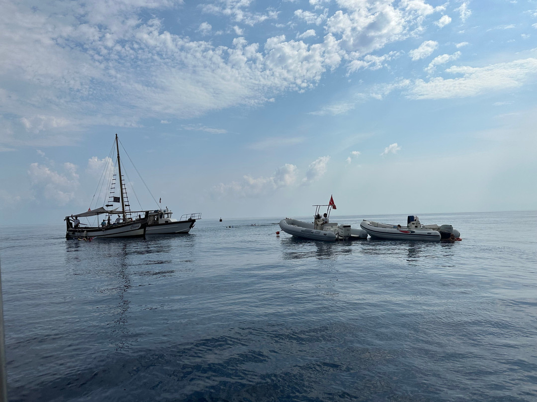 Bolina Tour di Antonia Onorato-Porticello必去景点