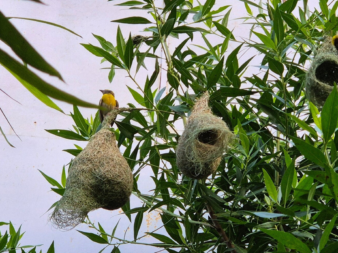 Vivaana Culture Hotel-Mandawa必去景点