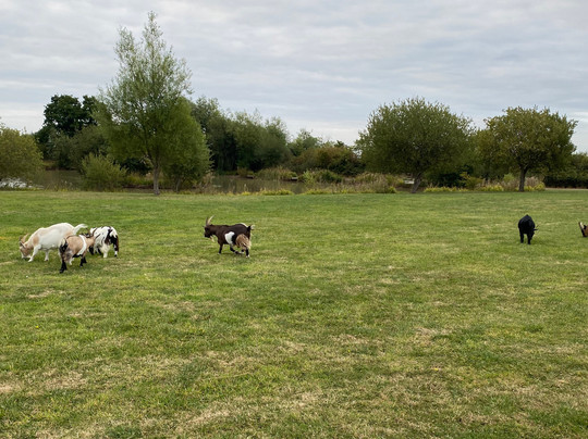 Commonwood Fishery-Holt必去景点
