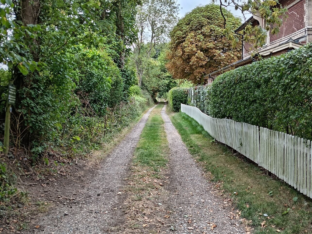 Starston Disused Station