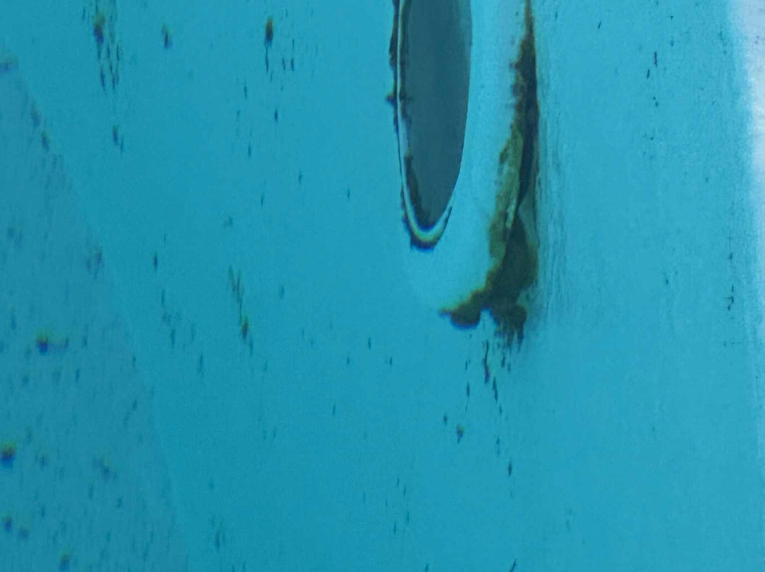 Park Hotel Porto Istana主图