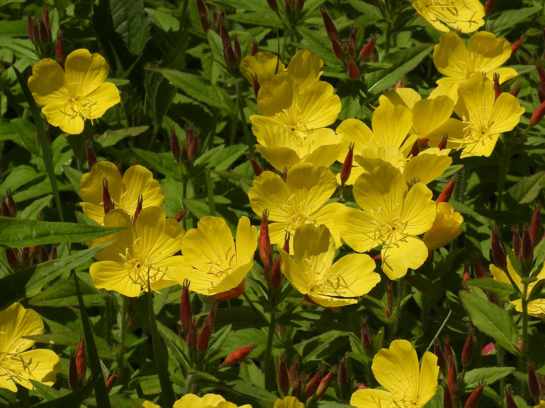 Frances Perkins Center-Newcastle必去景点