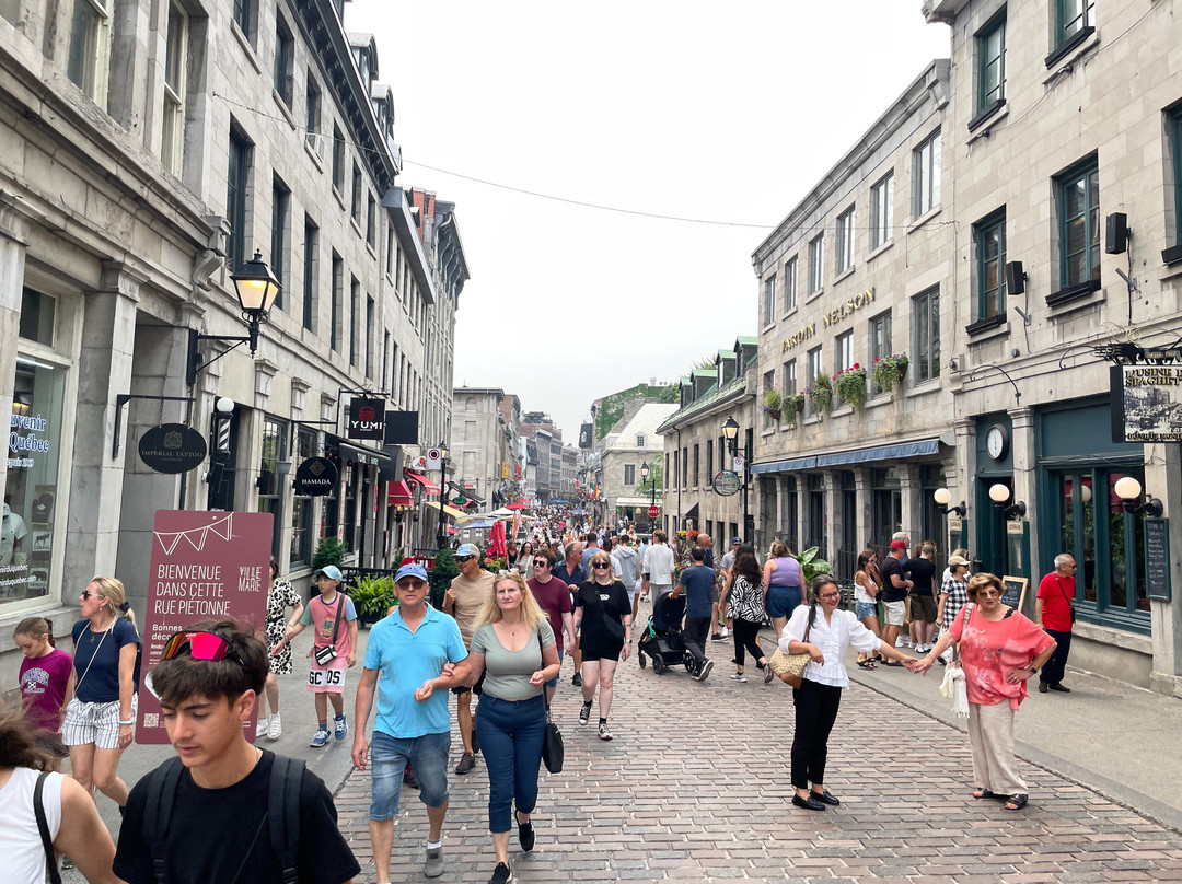 圣保罗大街-蒙特利尔必去景点