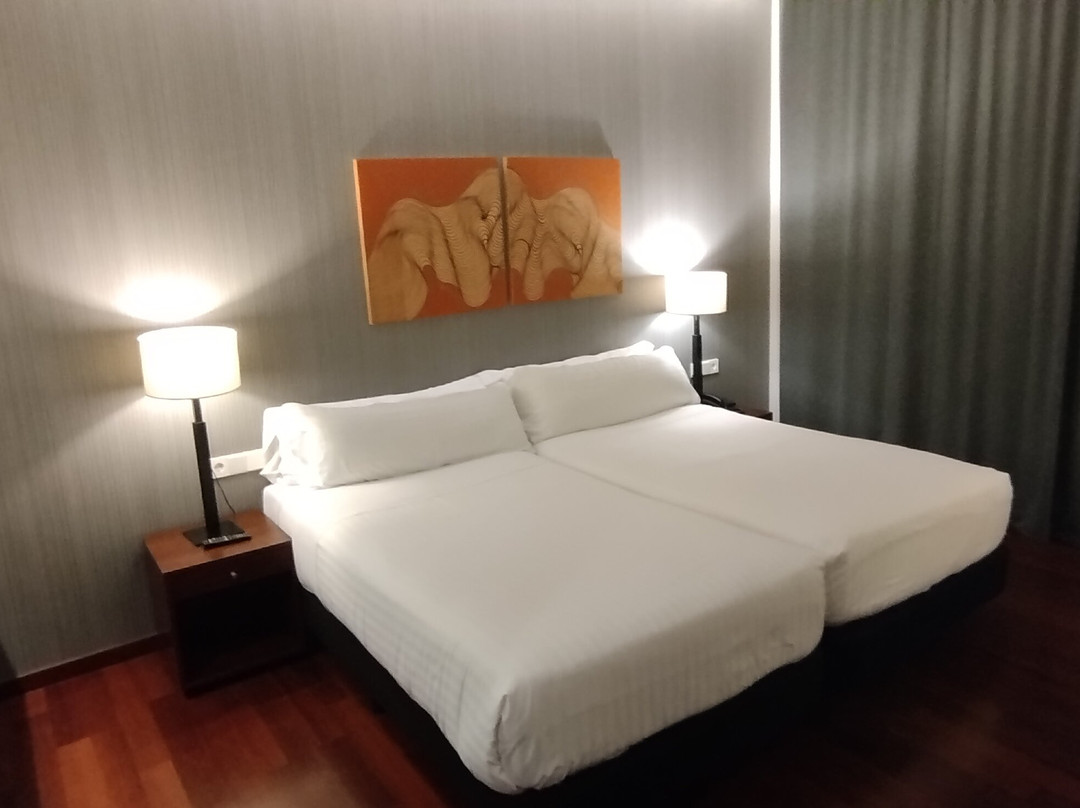 Hotel Carrís Marineda主图