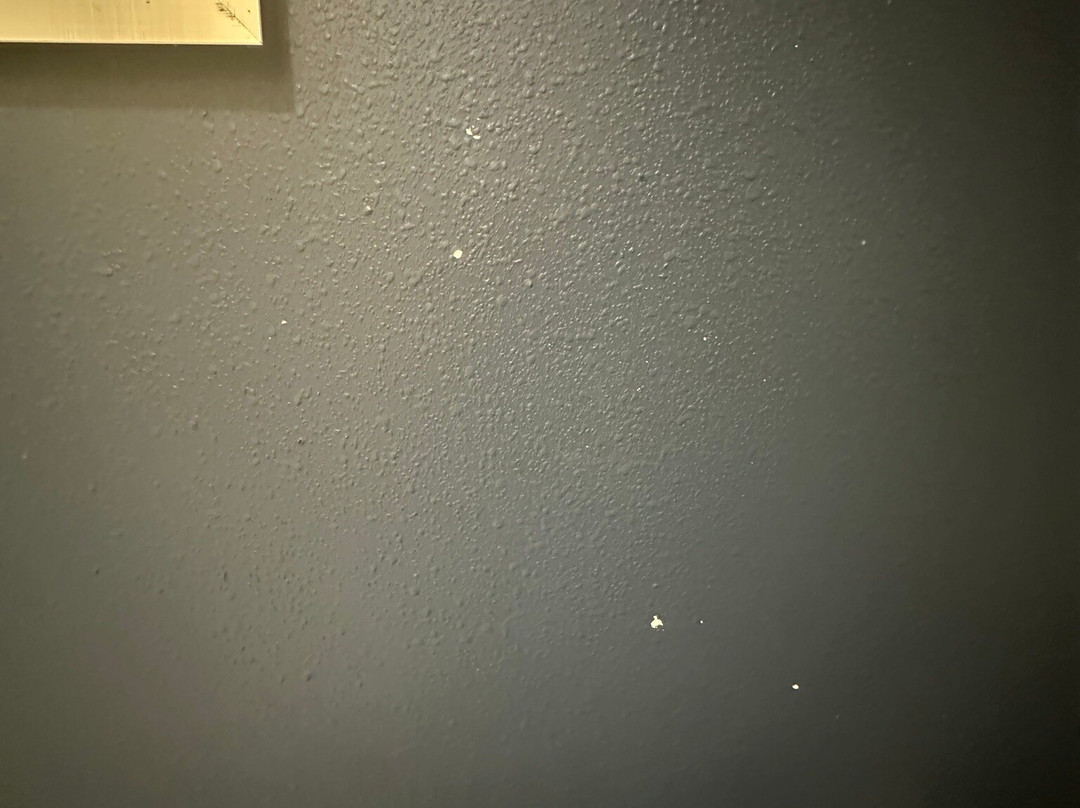 马歇尔费尔菲尔德客栈&套房酒店主图