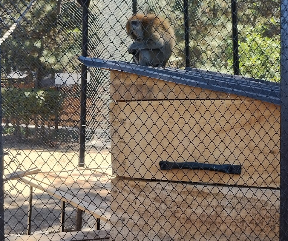 Bugu-Ene Zoo-Karakol必去景点