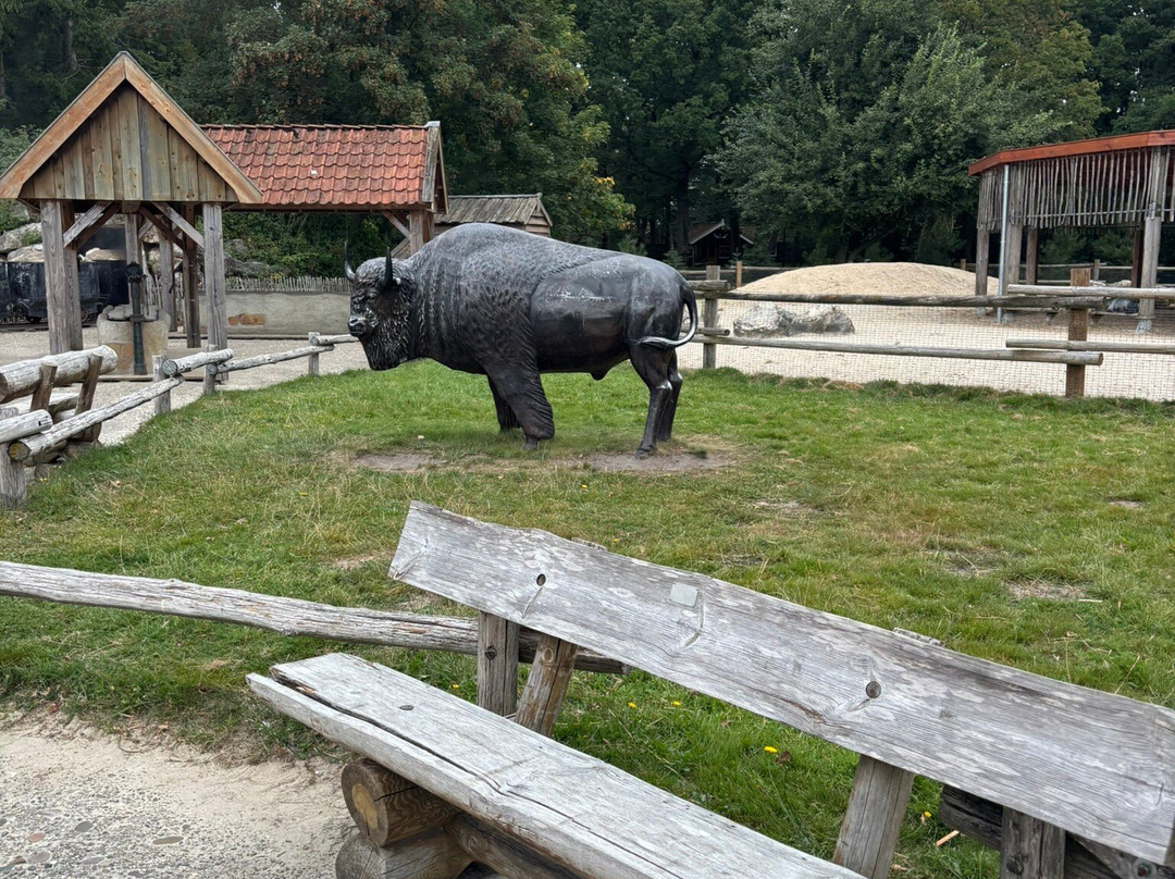 PonyparkCity-Collendoorn必去景点