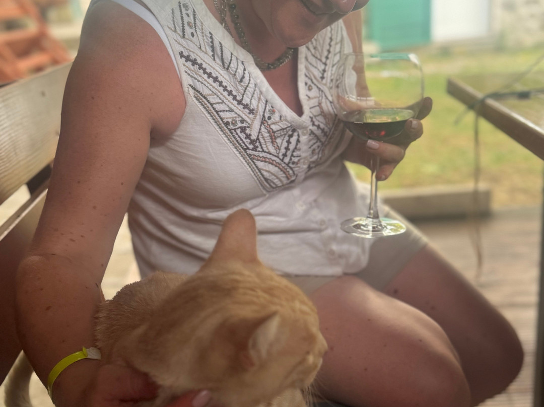 Wine Tasting Brac & Olive Oil Brac-Nerezisca必去景点