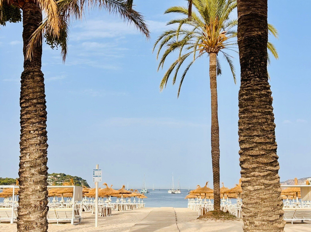 Playa Santa Ponça-圣庞沙必去景点