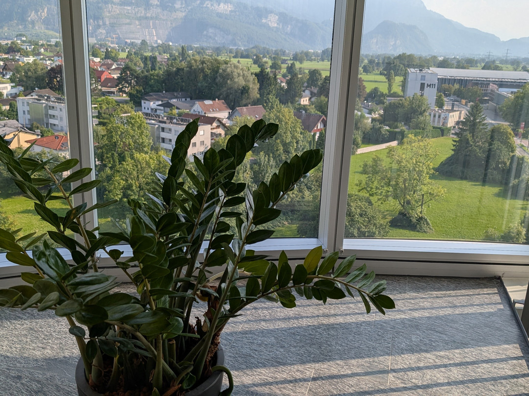Four Points by Sheraton Panoramahaus Dornbirn主图