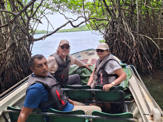 Travel Srilankan Tours-康提必去景点