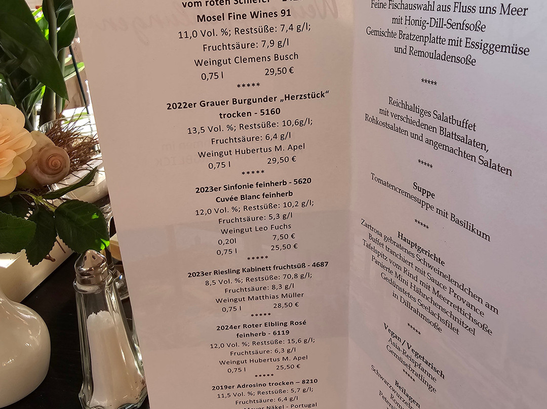 Moselstern Hotel Brixiade&Triton主图