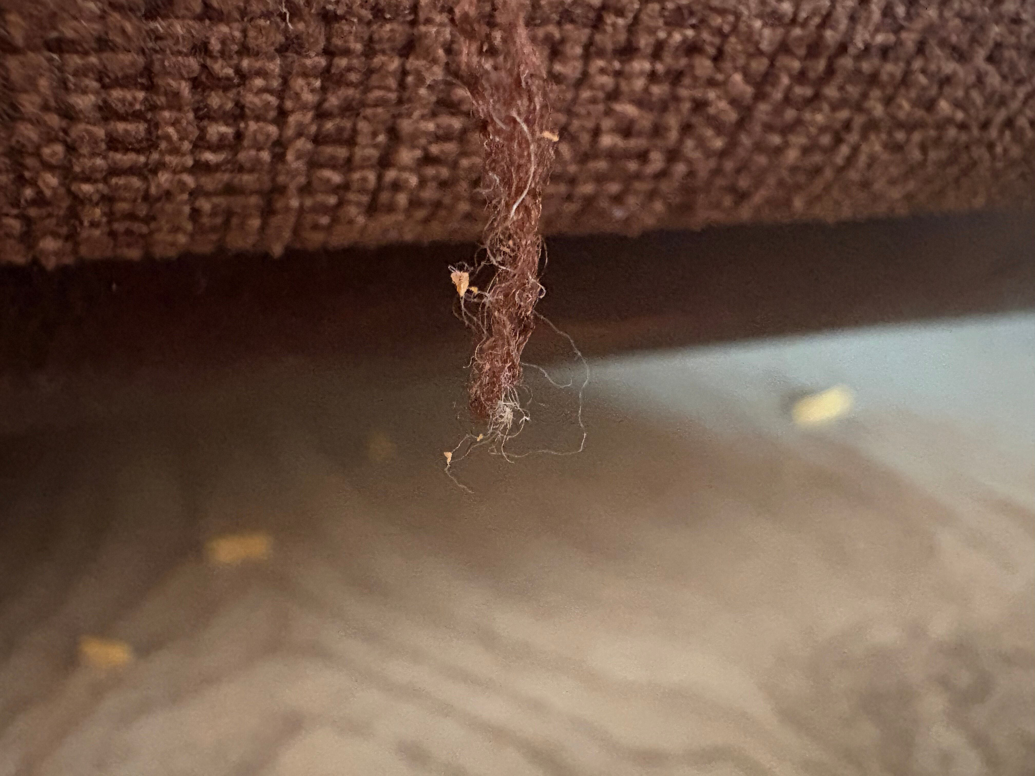 Eurotraveller Hotel Premier Harrow-官方