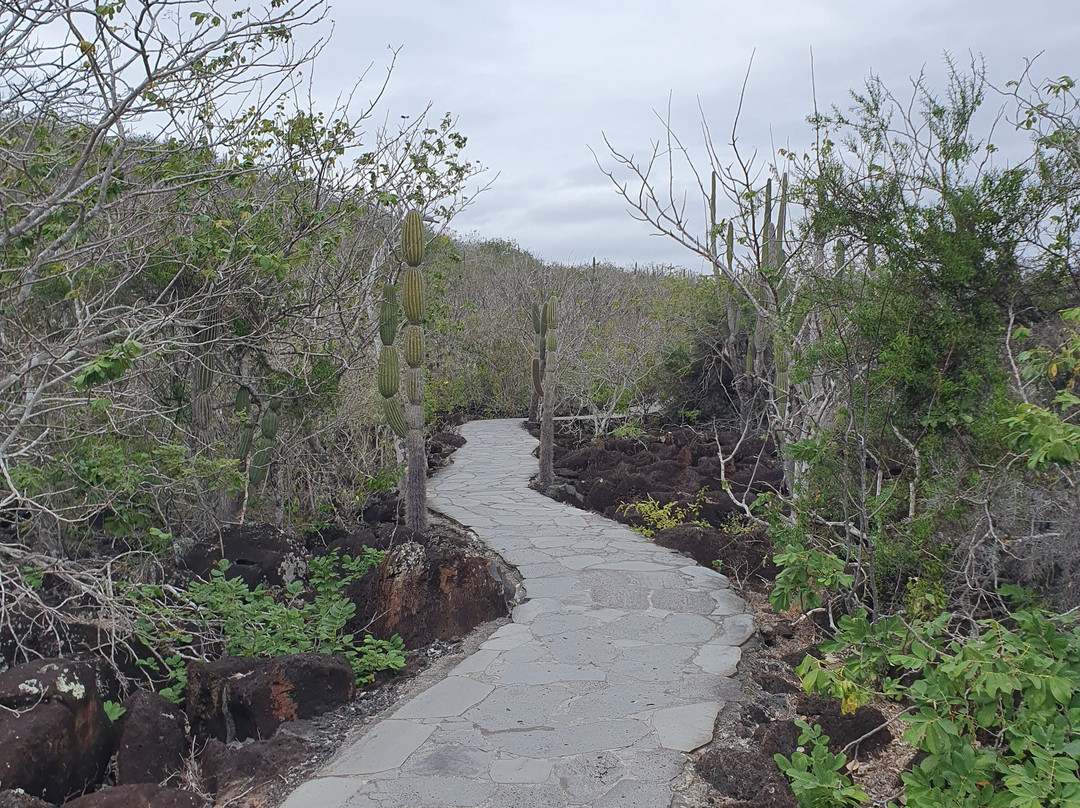 Cerro Tijeretas-Puerto Baquerizo Moreno必去景点