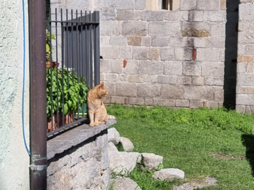 Complesso Battesimale Paleocristiano e Altomedievale di San Giovanni al Montorfano-Mergozzo必去景点