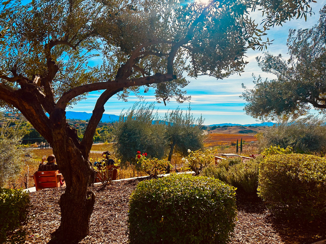 Cougar Vineyard & Winery-特曼库拉必去景点