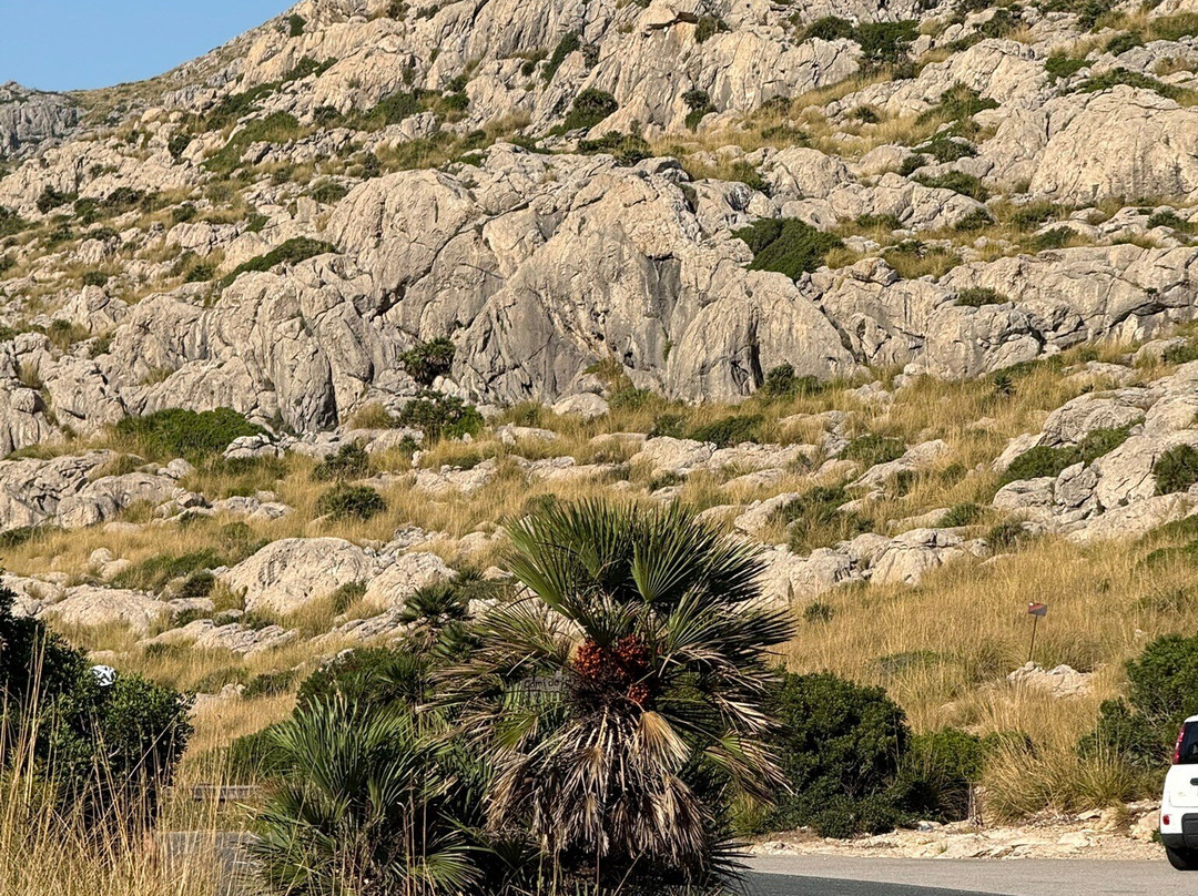 Mallorca Bike Hire-波连萨必去景点