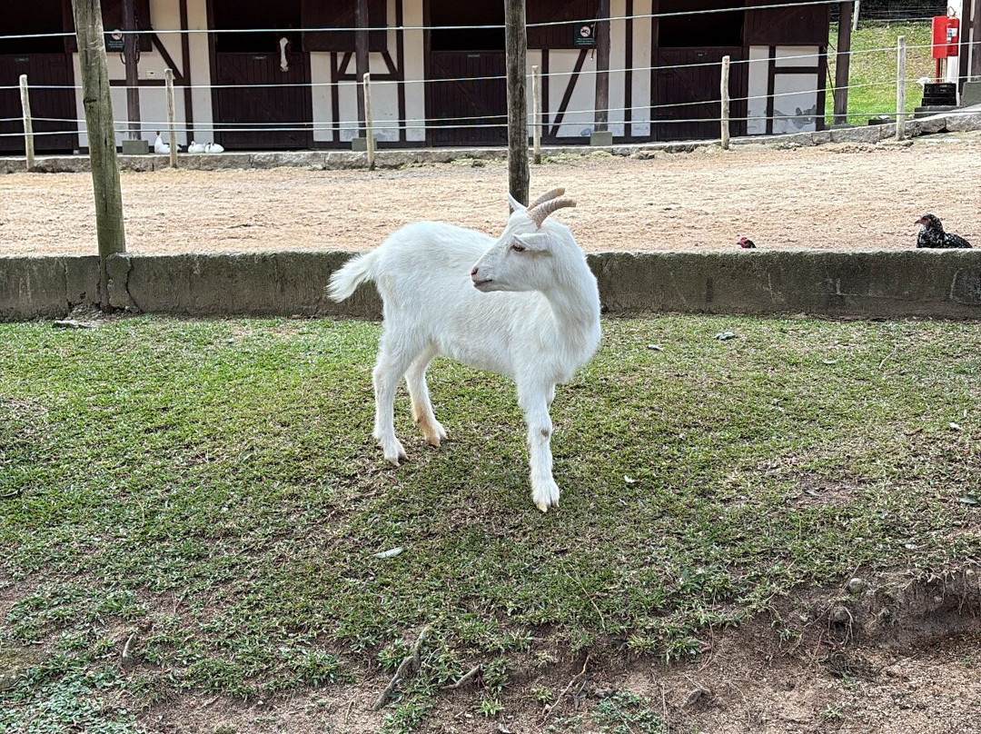 Village Le Canton主图