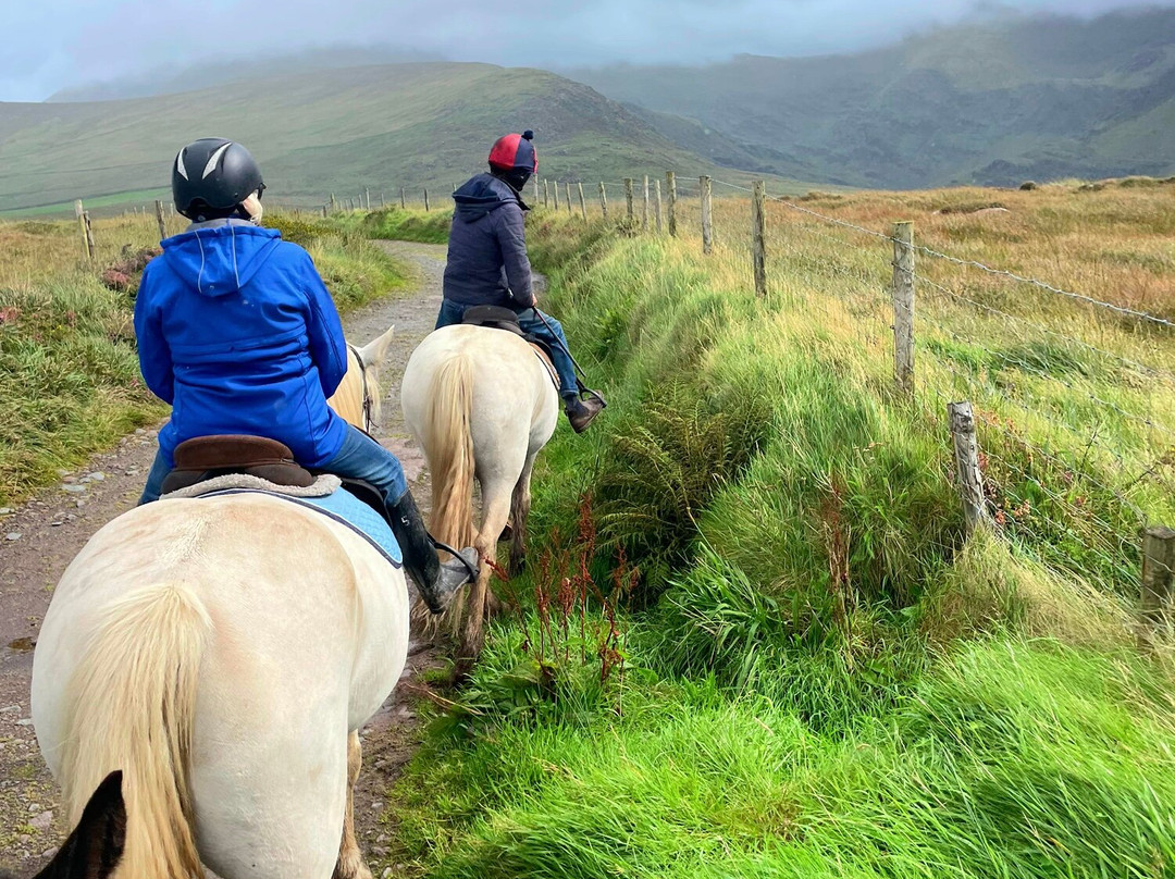 Sea View Equestrian-Ballydavid必去景点