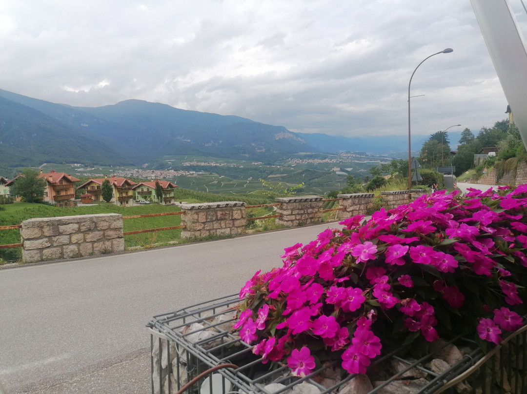 Hotel Alt Spaur主图