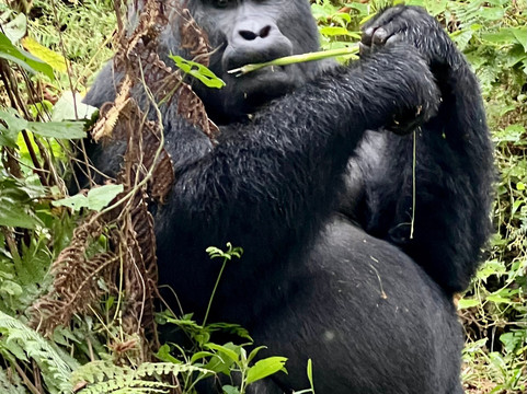 Econest Tim Tours & Safaris-坎帕拉必去景点