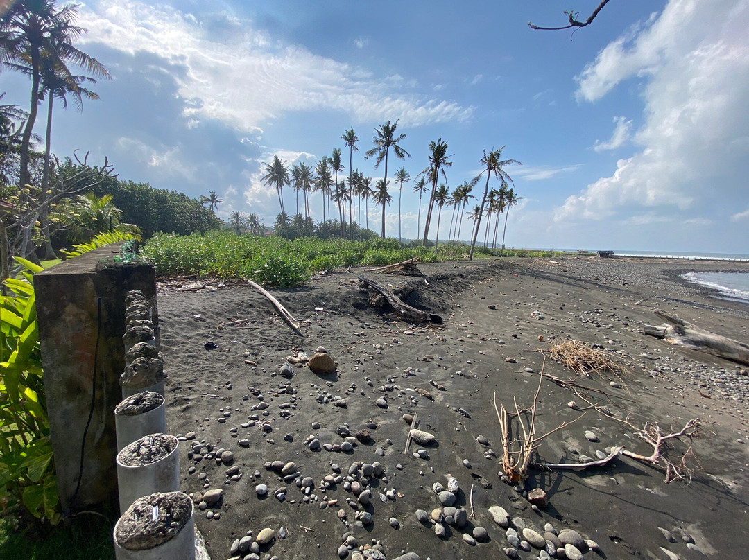 Umadewi Surf & Retreat主图