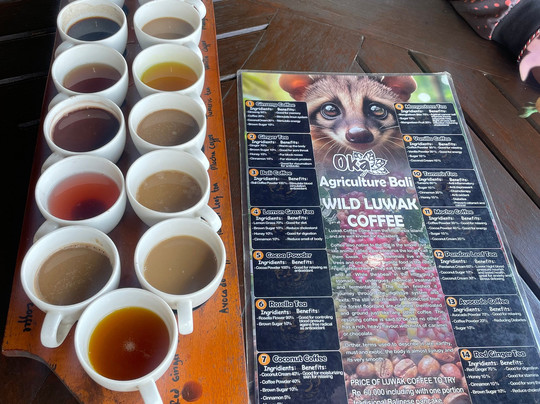 Sepeda Bali Adventure Cycling and Tours-乌布必去景点