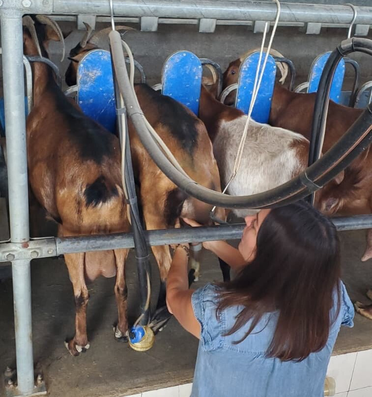 Arkadianos farm-Stavromenos Rethymnis必去景点