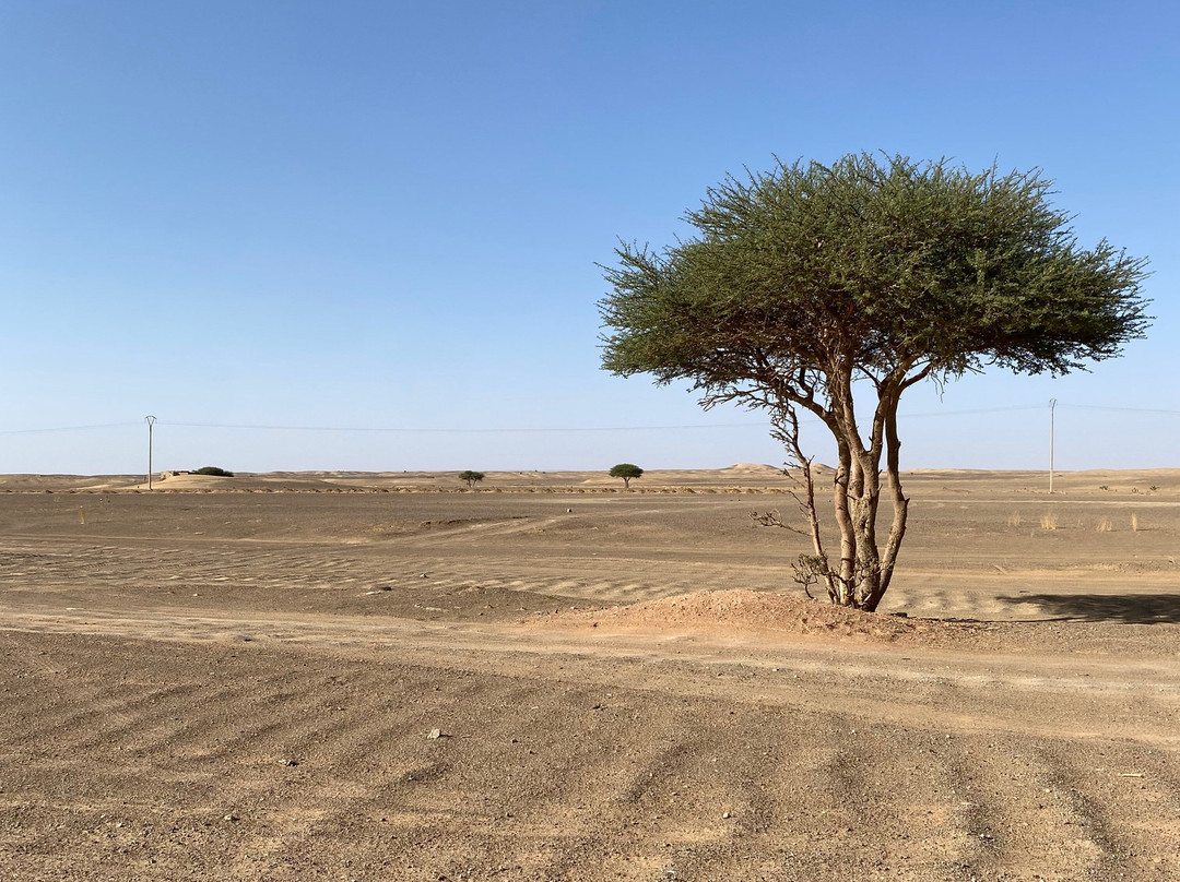 Sahara Feeling-扎古拉必去景点