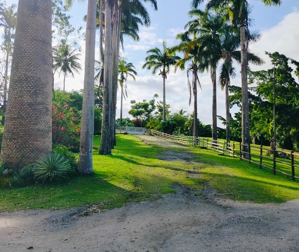 Boaluz Park-Laranjeiras必去景点