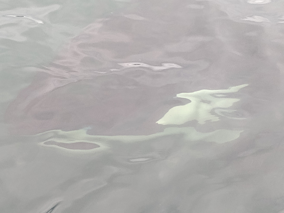 Glacier Wind Charters-胡纳必去景点