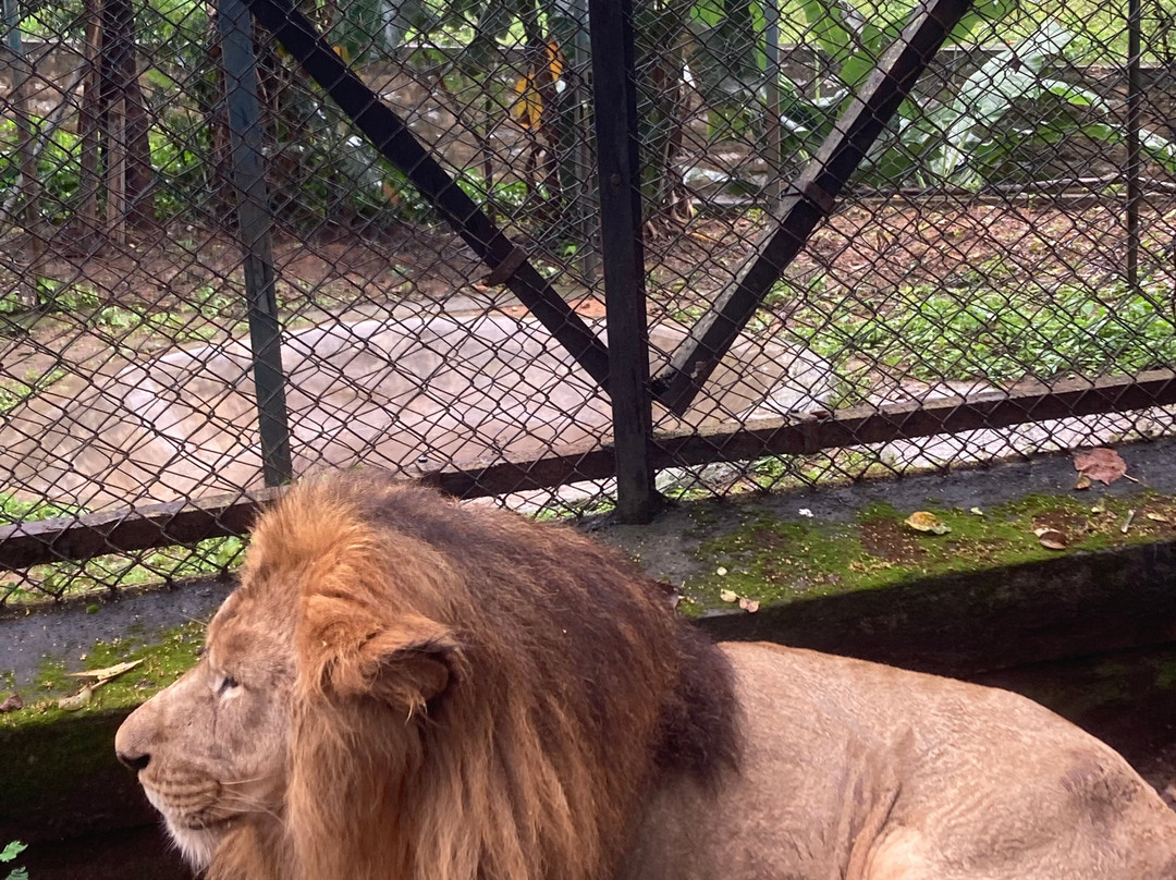 Bannerghatta Biological Park-班加罗尔必去景点