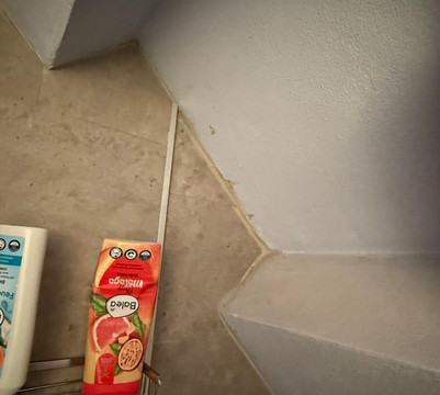 Hotel Gaestehaus Hochmann主图