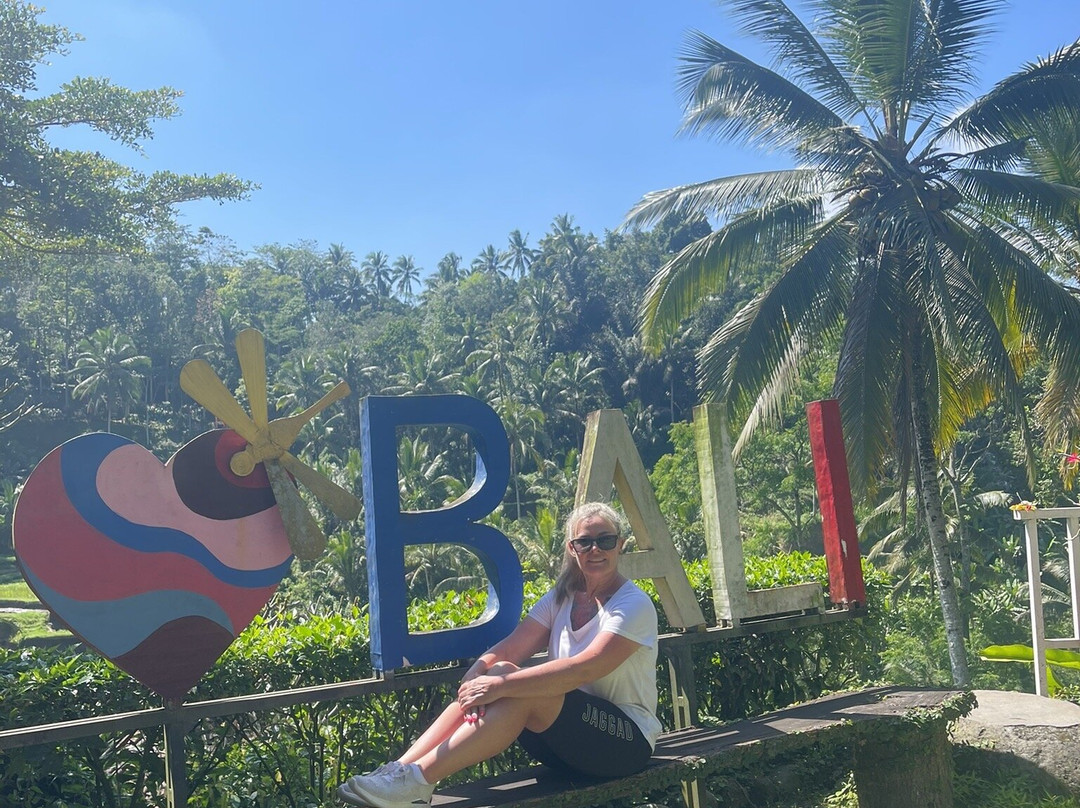 Green Bikes Bali e-bike tours Ubud-Mambal必去景点