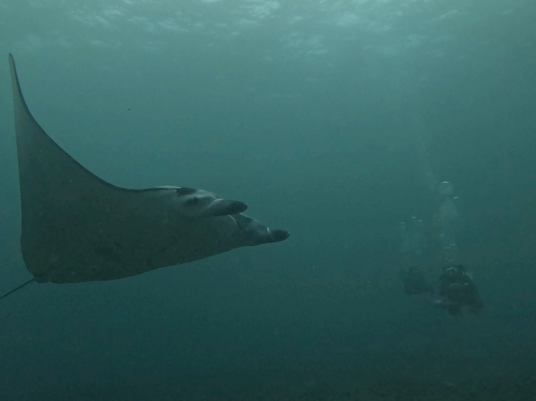Ceningan Divers-努沙切宁安岛必去景点
