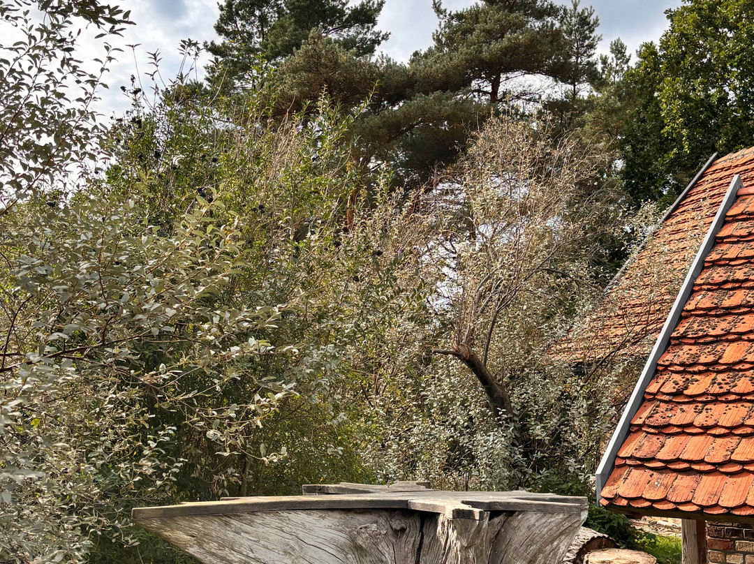 InselTours-Zinnowitz必去景点