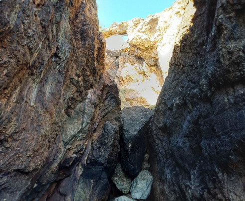 Salty Gecko Boat Tours-塞新布拉必去景点