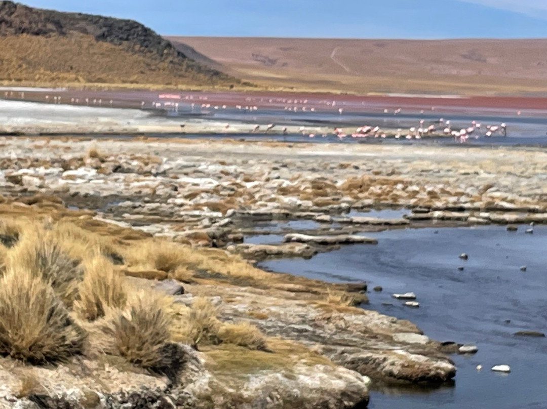 Hotel de Sal Kachi Wasi San Cristobal