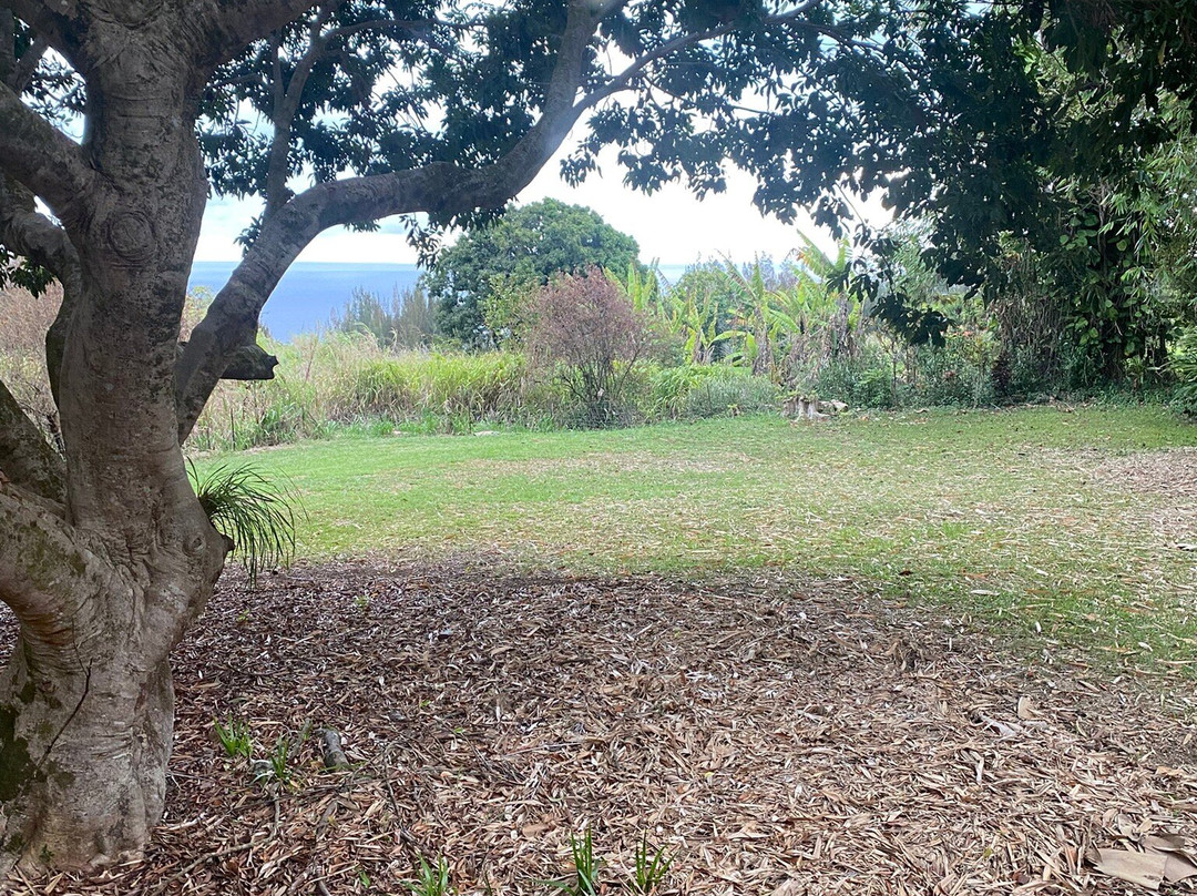 威庇欧路边客栈主图